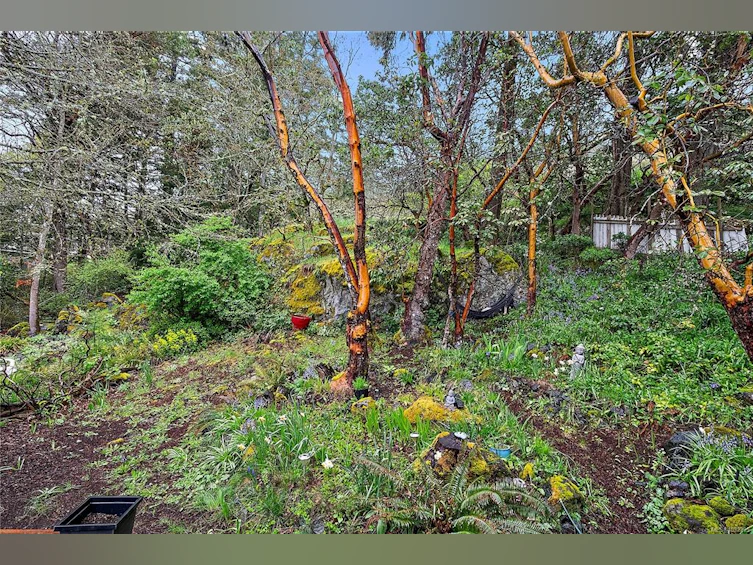 11-2587 Selwyn Road, Langford, BC, V9B 4V4 - 30