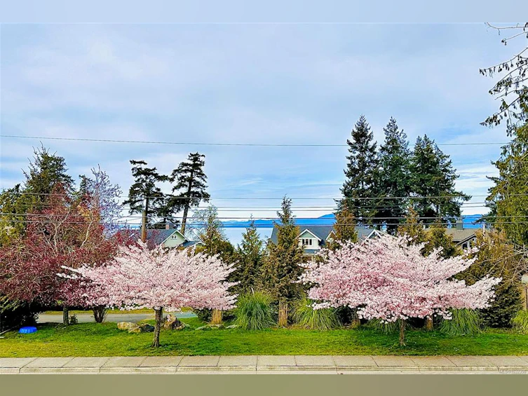 846 Wright Road, Parksville, BC, V9P 1Z9 - 30