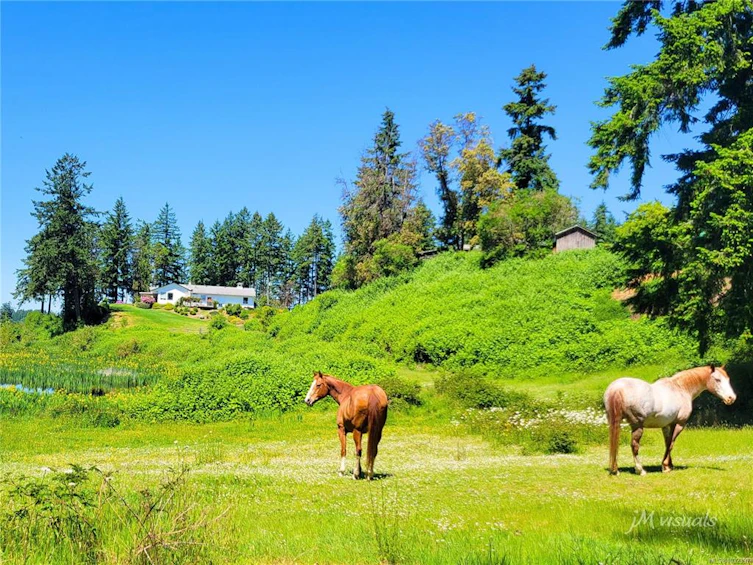 2551 Braun Road, Nanaimo, BC, V9X 1W5 - 57