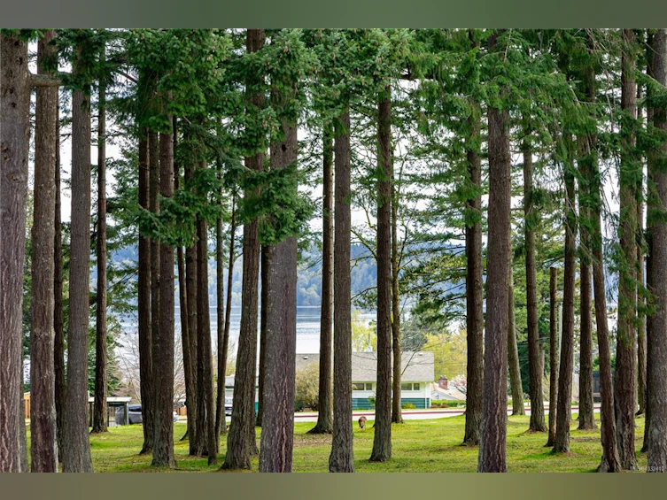146 Coronation Crescent, Campbell River, BC, V9W 3T6 - 3