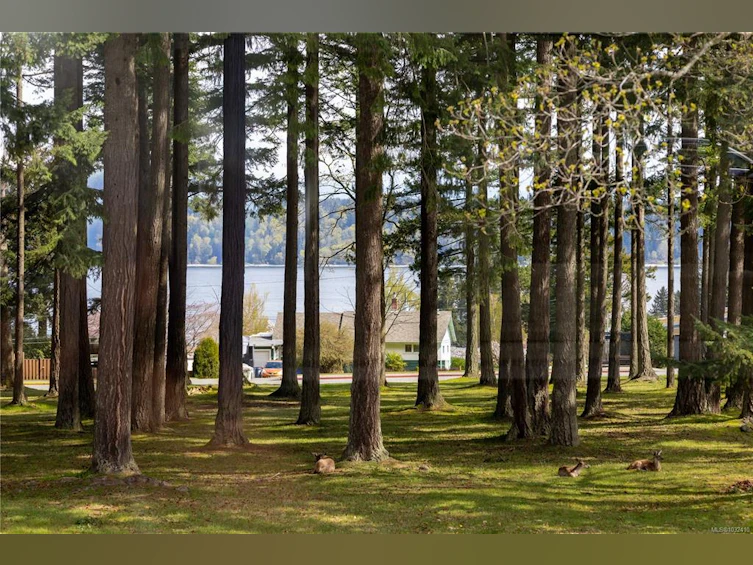146 Coronation Crescent, Campbell River, BC, V9W 3T6 - 69