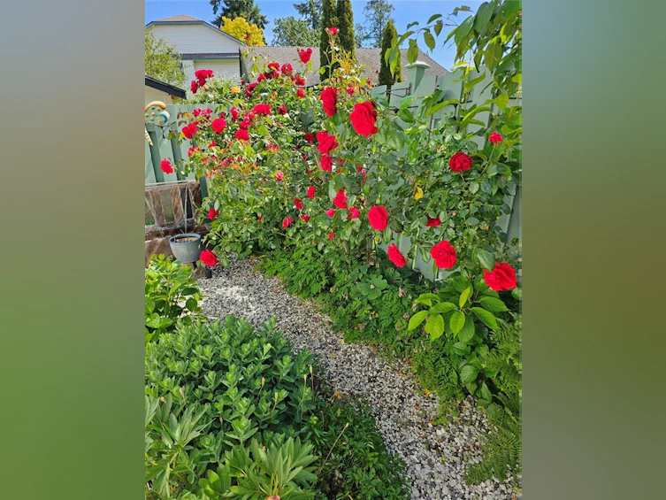 2547 Trillium Terrace, Duncan, BC, V9L 5J7 - 45