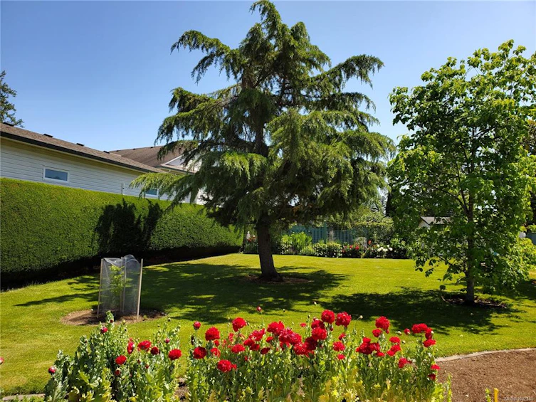 2547 Trillium Terrace, Duncan, BC, V9L 5J7 - 46