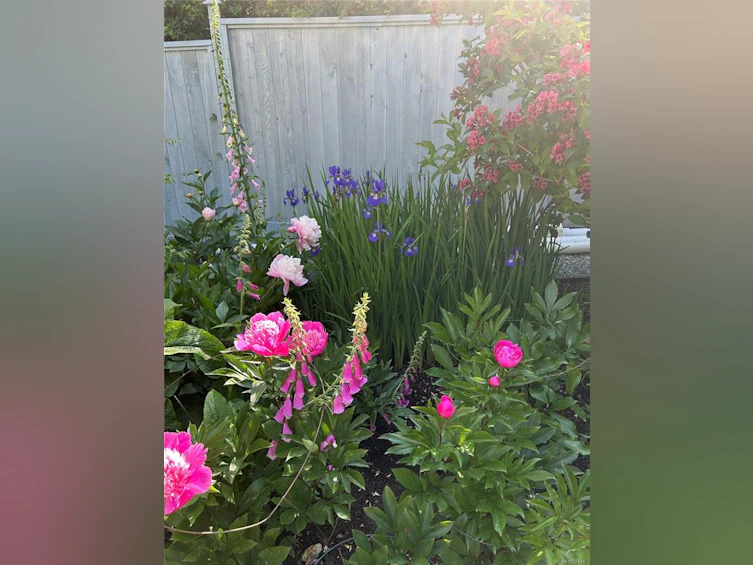 7694 Lantzville Road, Nanaimo, BC, V0R 2H0 - 20