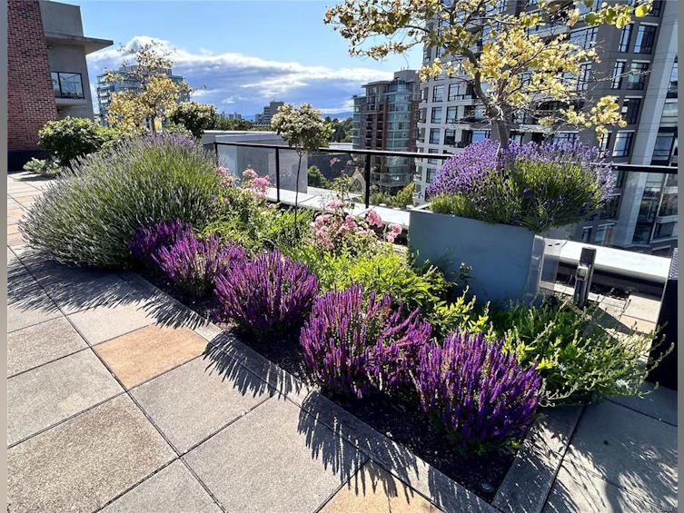 A316-810 Humboldt Street, Victoria, BC, V8V 5B1 - 23