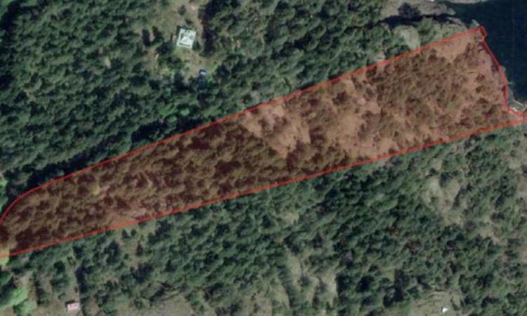 8 Windham Road