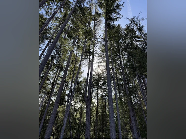 Lot A Anderson Avenue, Bowser/Deep Bay, BC, V0R 1G0 - 11