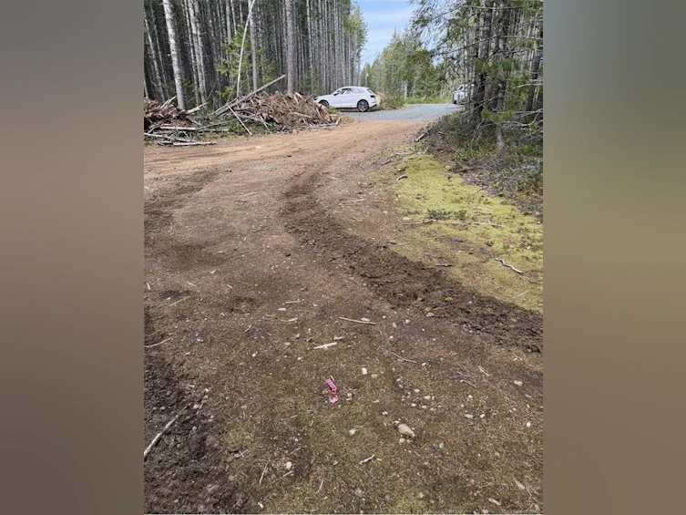 Lot A Anderson Avenue, Bowser/Deep Bay, BC, V0R 1G0 - 19