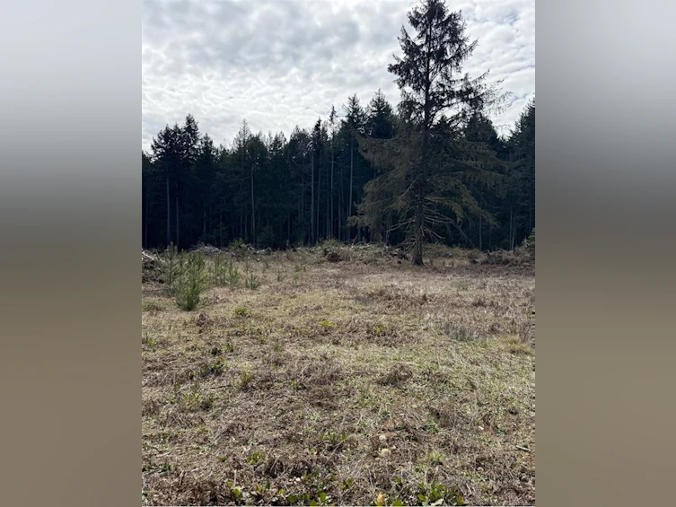 Lot A Anderson Avenue, Bowser/Deep Bay, BC, V0R 1G0 - 7