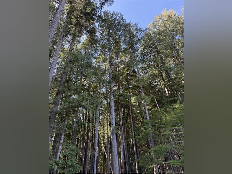 Lot A Anderson Avenue, Bowser/Deep Bay, BC, V0R 1G0 - 16
