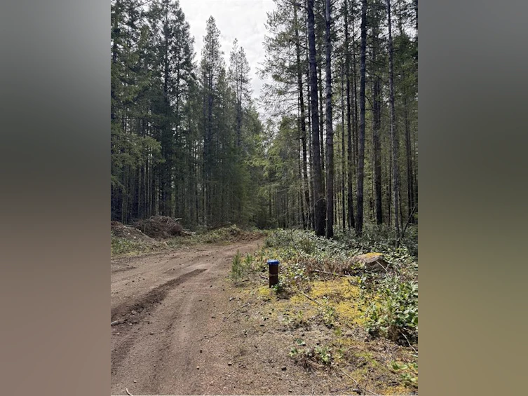 Lot A Anderson Avenue, Bowser/Deep Bay, BC, V0R 1G0 - 12