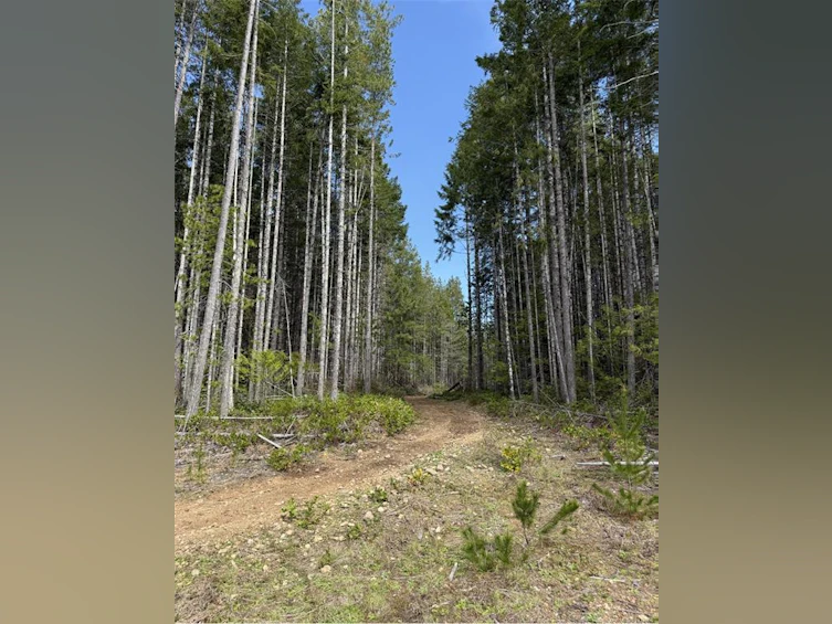Lot A Anderson Avenue, Bowser/Deep Bay, BC, V0R 1G0 - 5