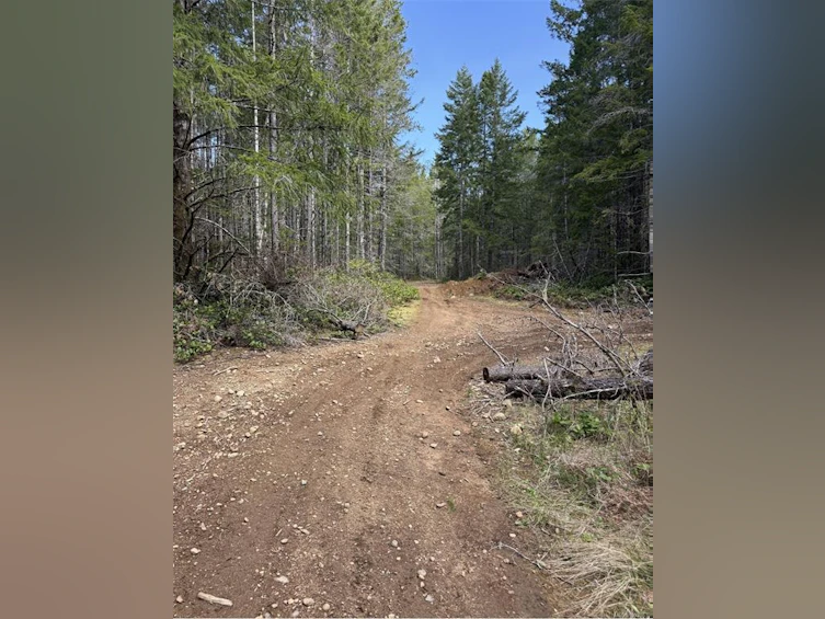 Lot B Anderson Avenue, Bowser/Deep Bay, BC, V0R 1G0 - 3