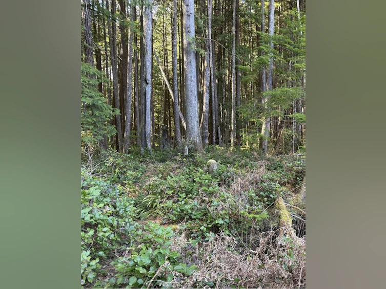 Lot B Anderson Avenue, Bowser/Deep Bay, BC, V0R 1G0 - 18