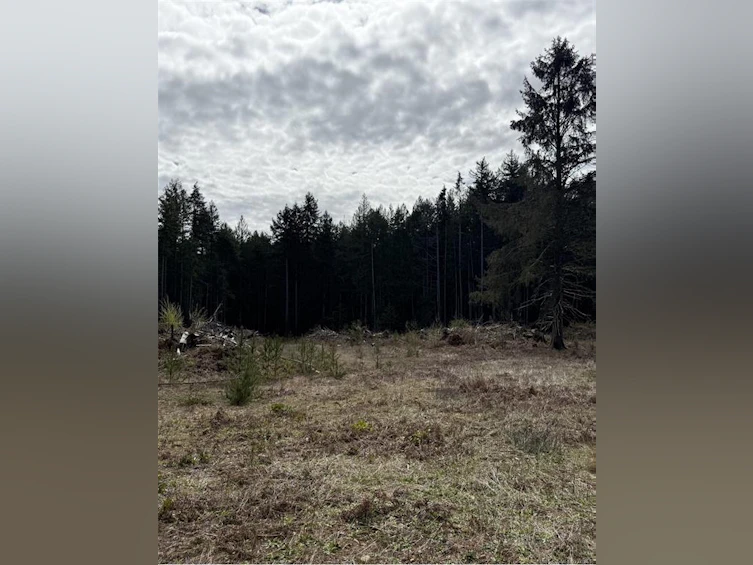 Lot B Anderson Avenue, Bowser/Deep Bay, BC, V0R 1G0 - 6