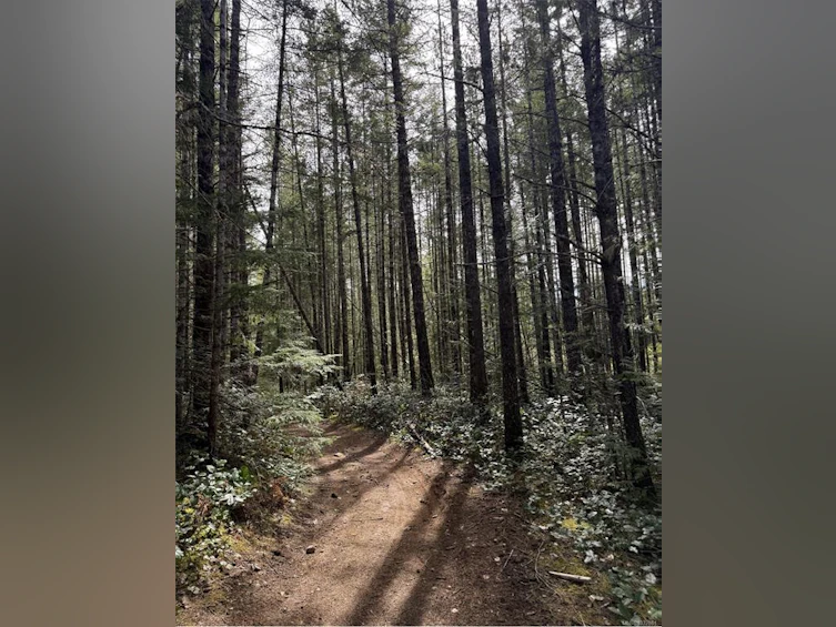 Lot B Anderson Avenue, Bowser/Deep Bay, BC, V0R 1G0 - 9