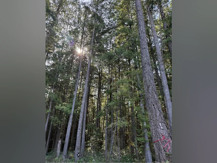 Lot B Anderson Avenue, Bowser/Deep Bay, BC, V0R 1G0 - 15