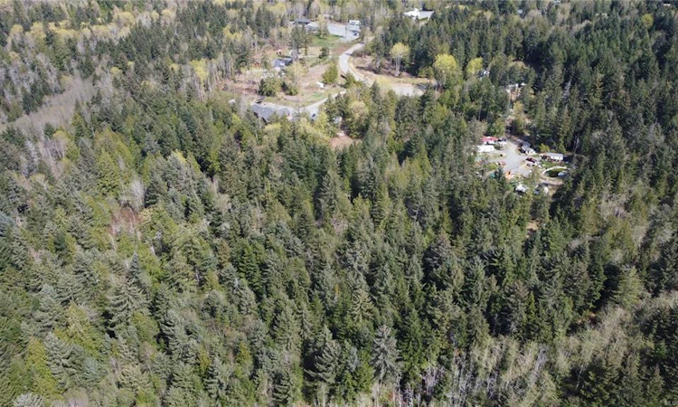 LT 4 Timberlake Place