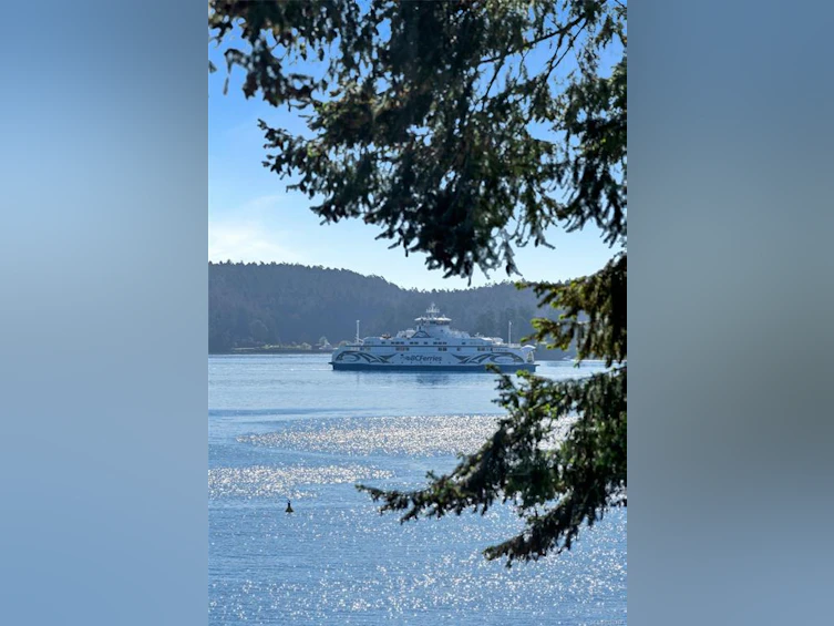 1676 Lands End Road, North Saanich, BC, V8L 5L5 - 59
