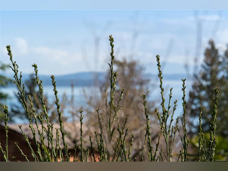 805 Yole Place, Saanich, BC, V8Y 3B1 - 29
