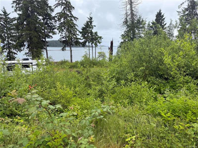 1174 Front Street - 4