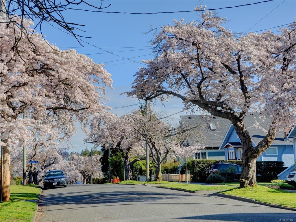 12 Briar Place, Victoria, BC, V8S 3J5 - 90