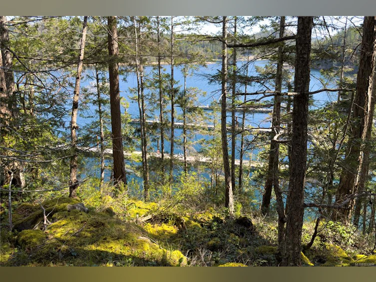 1410 Red Granite Road, Cortes Island, BC, V0P 1K0 - 59