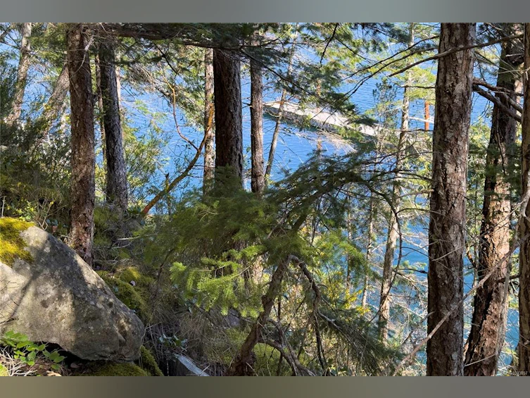 1410 Red Granite Road, Cortes Island, BC, V0P 1K0 - 58