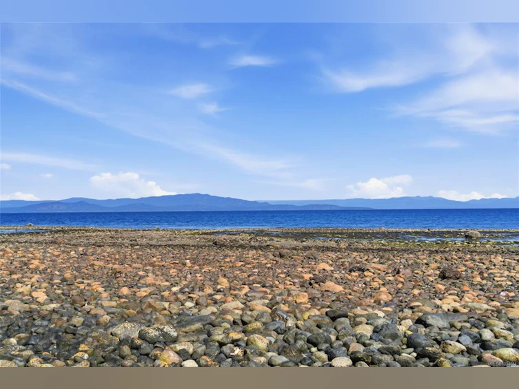 590 Willow Street, Parksville, BC, V9P 1A5 - 52