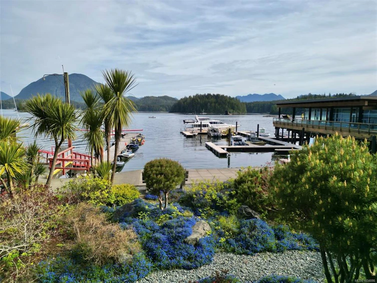 101-368 Main Street, Tofino, BC, V0R 2Z0 - 18