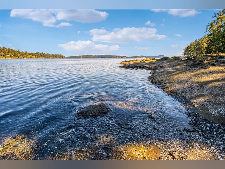 970 Sea Fern Lane, Mudge Island, BC, V0R 1X0 - 75