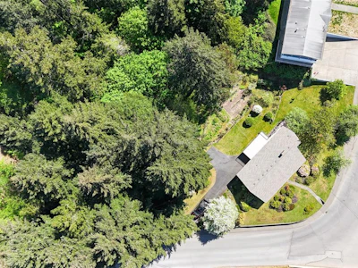 2293 Cameron Drive - 3