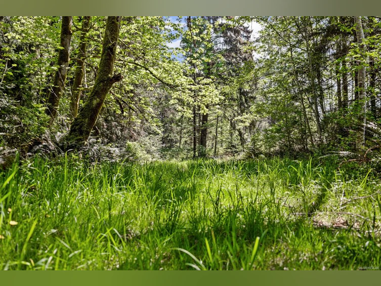 264 Sutil Road, Quadra Island, BC, V0P 0A8 - 13
