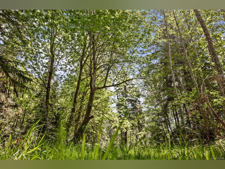 264 Sutil Road, Quadra Island, BC, V0P 0A8 - 14