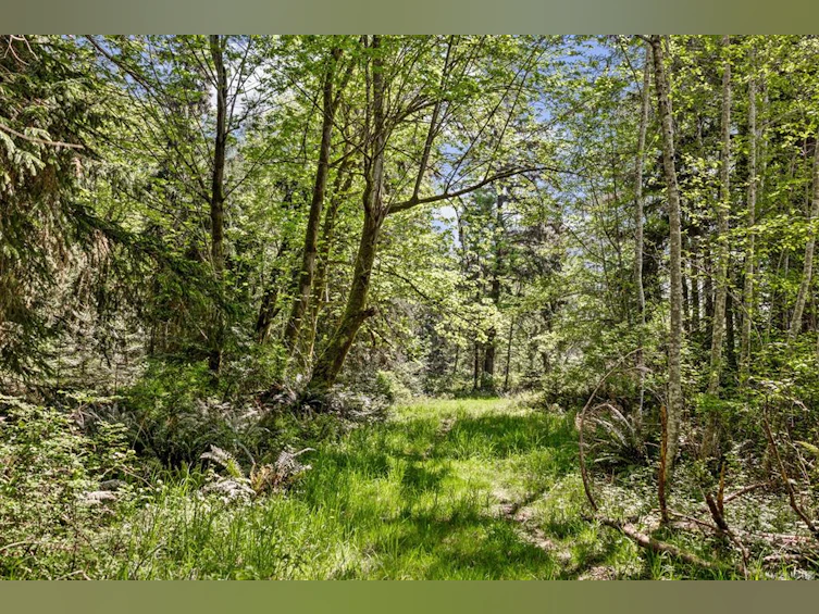 264 Sutil Road, Quadra Island, BC, V0P 0A8 - 19