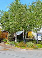 628 Bryden Court