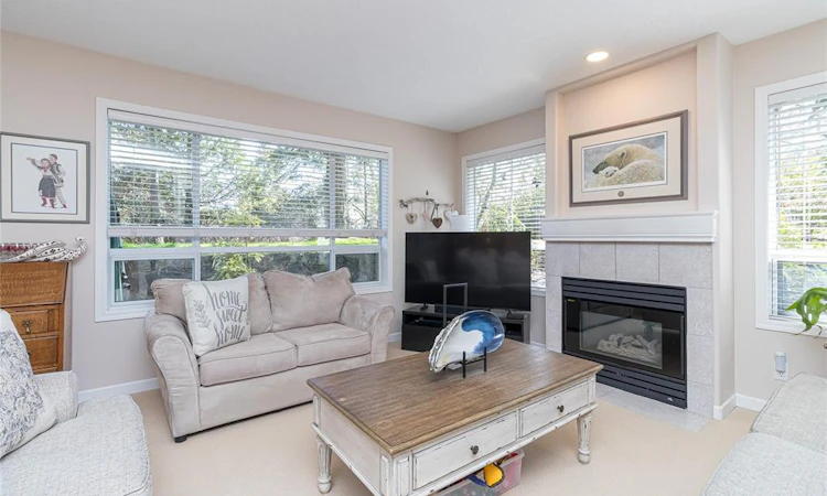 9-4619 Elk Lake Drive