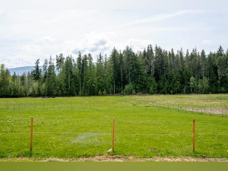 981 Pratt Road, Hilliers, BC, V9K 1W5 - 45
