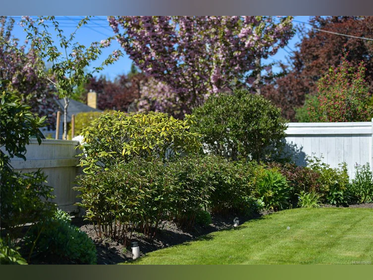 1701 Stanley Avenue, Victoria, BC, V8R 3X1 - 27