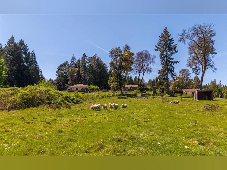 3191 Mutter Road, Mill Bay, BC, V0R 2P3 - 51