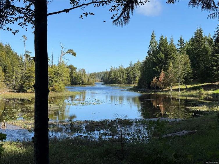 1420 Smithdale Road, Ucluelet, BC, V0R 3A0 - 10