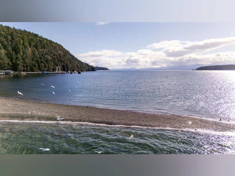 215-4305 Shingle Spit Road, Hornby Island, BC, V0R 1Z0 - 42