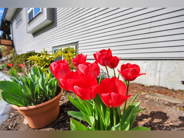 6342 Herons Place, Duncan, BC, V9L 6Z3 - 43