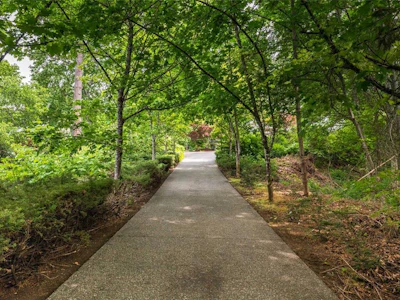 6353 Highwood Drive - 5