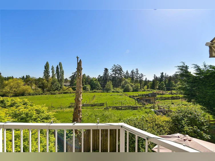 523 Caselton Place, Saanich, BC, V8Z 7Y5 - 31