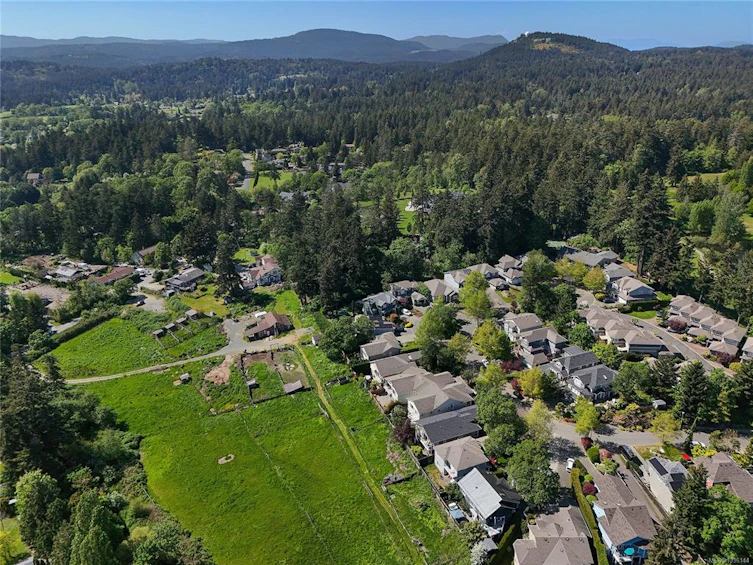 523 Caselton Place, Saanich, BC, V8Z 7Y5 - 59