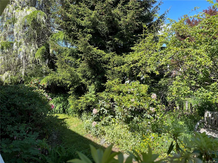 2821 4th Avenue, Port Alberni, BC, V9Y 2C2 - 34