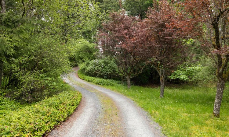 9911 Panorama Ridge Road