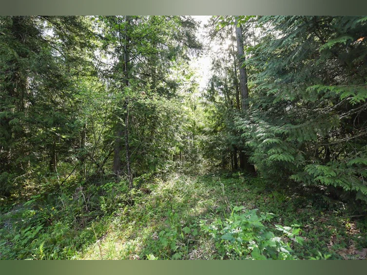 3550 Cumberland Road, Cumberland, BC, V0R 1S0 - 22