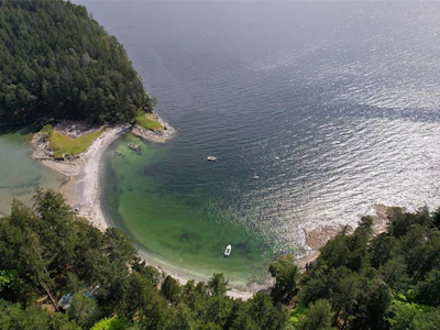 1085 Sea Fern Lane - 2